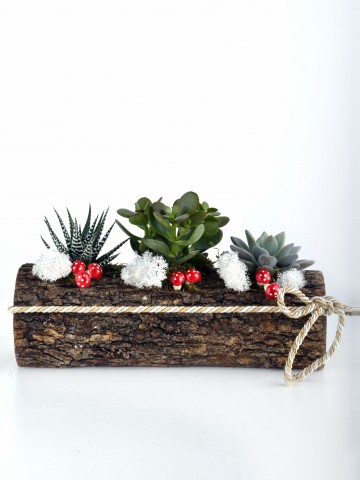 Doğadan Bir Esinti Teraryum Terarium çiçek gönder
