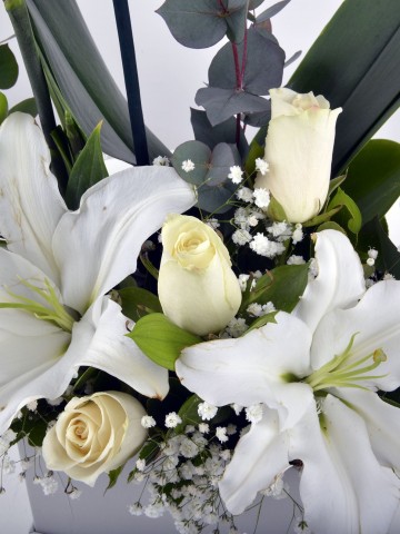Tek Dallı Beyaz Orkide Çiçeği.. Orkideler çiçek gönder