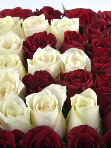 Kalbindeki Harfi Güllerle Yaz Kişiye Özel Baş Harf  Harfli Çiçek çiçek gönder