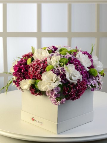 Ada Sahilleri Kutuda Çiçek çiçek gönder