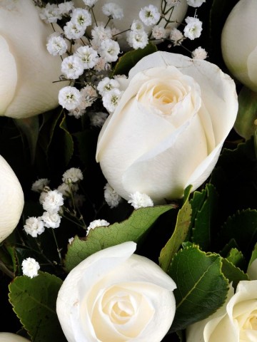 Hayalden Gerçeğe 17 Beyaz Gül Aranjmanlar çiçek gönder