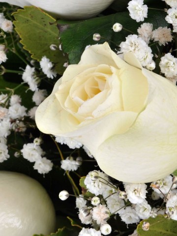Gülen Gözler Camda 5 Beyaz Gül Aranjmanlar çiçek gönder