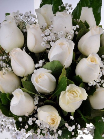 Bir İlkbahar Sabahı 21 Beyaz Gül Aranjmanlar çiçek gönder