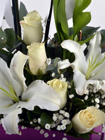 Hediye Kutusunda Çift Dallı Beyaz orkide.... Orkideler çiçek gönder