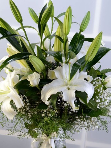 Beyaz Hisler Aranjmanlar çiçek gönder