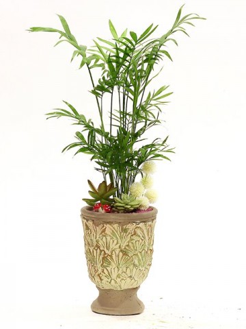 Dekoratif Vazoda Özel Tasarım Bitki ve Sukulentler Saksı Çiçekleri çiçek gönder