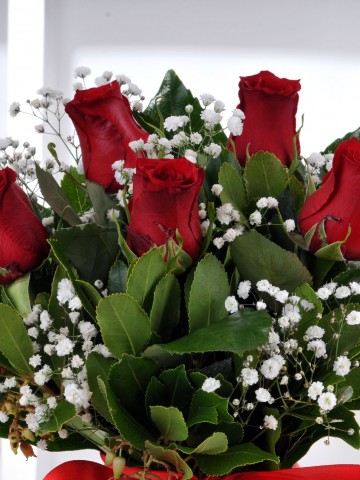 Vazoda 5 Kırmızı Gül  Aranjmanlar çiçek gönder