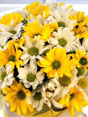 Sarı Bahar Rüzgarı  Kutuda Çiçek çiçek gönder