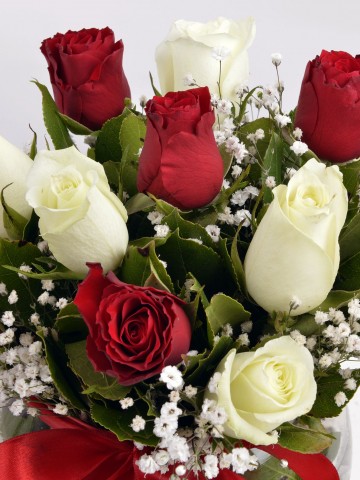 Aşk Küresi Kırmızı Beyaz Güller Aranjmanlar çiçek gönder