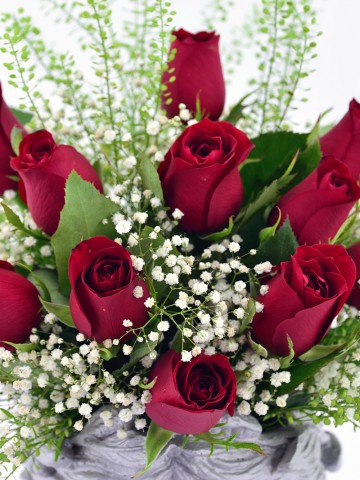 Helen Saksıda 11 Kırmızı Gül Aranjmanlar çiçek gönder