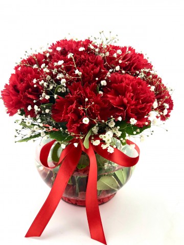 Akvaryum Camda Kırmızı Karanfiller Aranjmanlar çiçek gönder