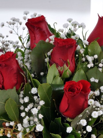 Bir Tutam Aşk 7 Kırmızı Gül Çiçek Arajmanı Aranjmanlar çiçek gönder