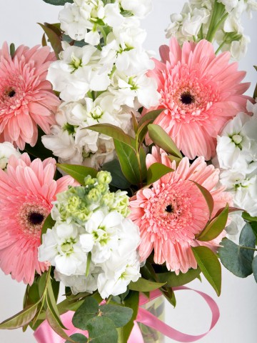 Silindir Vazoda Şebboy ve Gerbera Aranjmanlar çiçek gönder