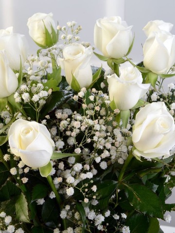 Amfora Camda 15 Adet Beyaz Gül Aranjmanlar çiçek gönder