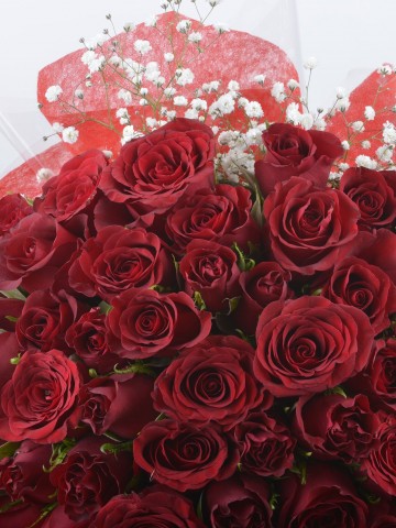 Aşkta Sıcak Bir Esinti 101Adet  Kırmızı Gül Buketi. Buketler çiçek gönder