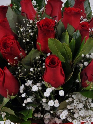 Bir Kızıl Goncaya Benzer Dudağın Aranjmanlar çiçek gönder
