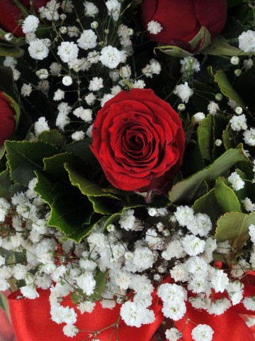 Sihirli Küre 7 Kırmızı Gül Arajmanı Aranjmanlar çiçek gönder