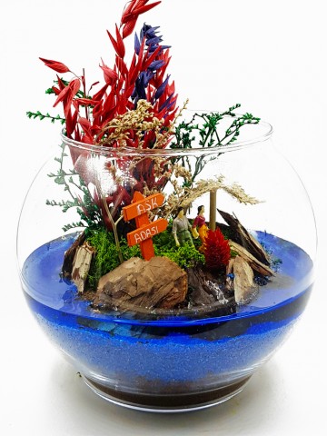 Aşk Adası | Terarium