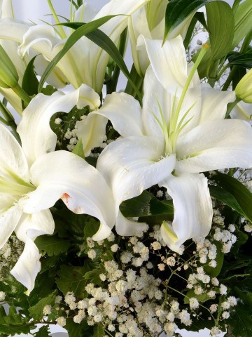 Beyaz Lilyum Aranjmanı Aranjmanlar çiçek gönder