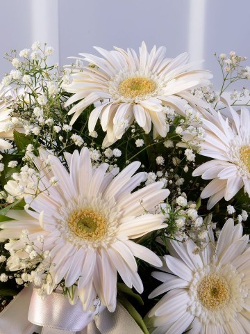Beyaz Gerberalar Aranjmanlar çiçek gönder