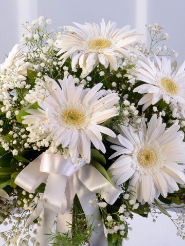 Cam Vazoda Beyaz Gerberalar Aranjmanlar çiçek gönder