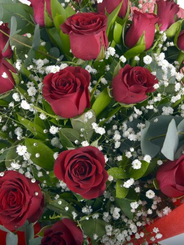 19 Kırmızı Gül Buketi Buketler çiçek gönder
