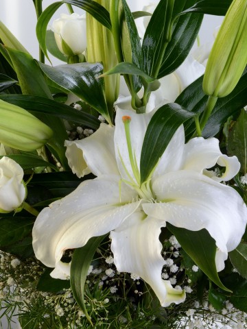 Cam Vazoda Beyaz Lilyumlar Aranjmanlar çiçek gönder