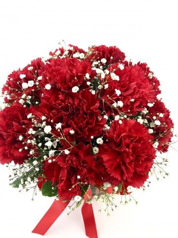 Akvaryum Camda Kırmızı Karanfiller Aranjmanlar çiçek gönder