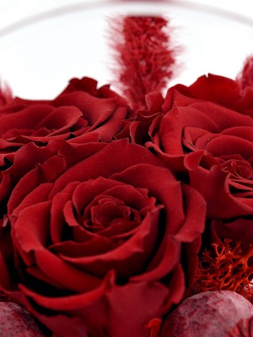 Cam Kürede Solmayan Kırmızı Güller Solmayan Güller  çiçek gönder