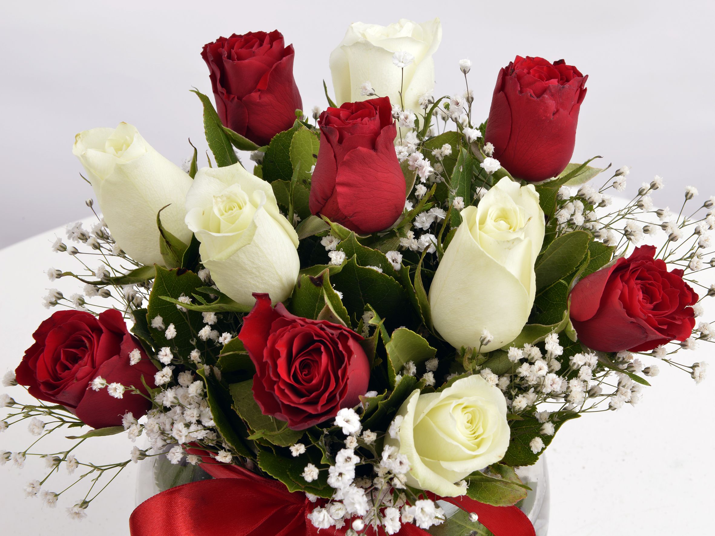 Aşk Küresi Kırmızı Beyaz Güller | Aranjmanlar